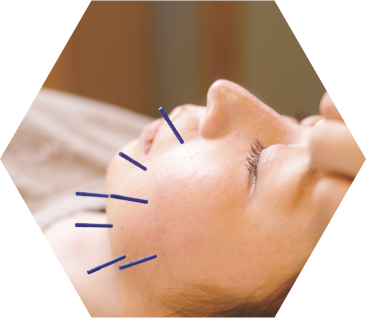 ハニービーコース